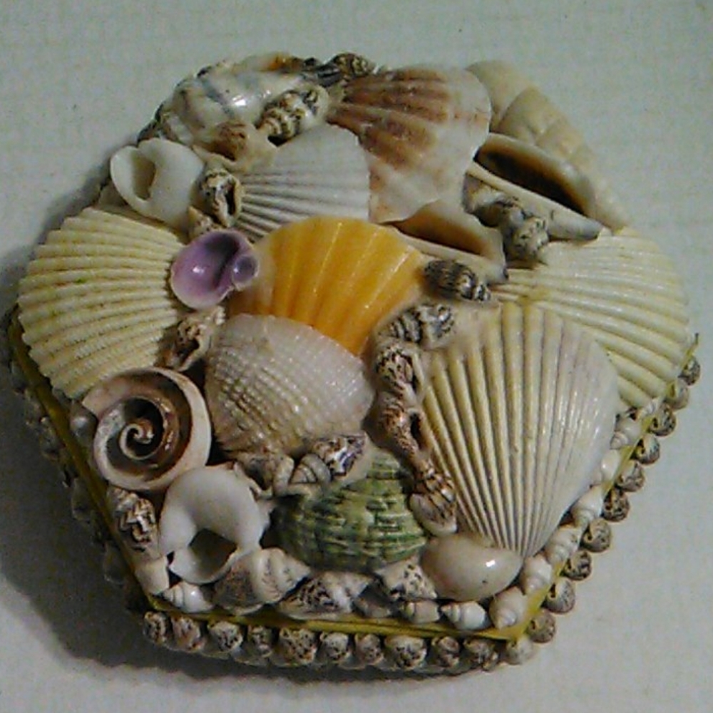 Hexagon shell box - Picture 7 of 8